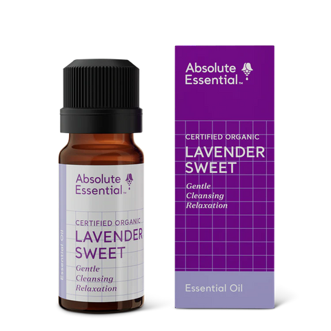 Lavender Sweet  Essential Oil (Organic)