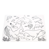 Silicone Colour-in Placemats