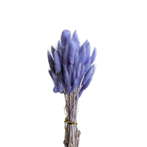 Dried Bunny Tails - Purple