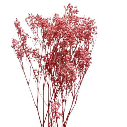 Xlence Gypsophila Branching Stem - Pink