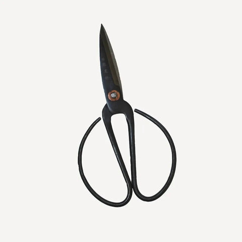 Black Herb Scissors