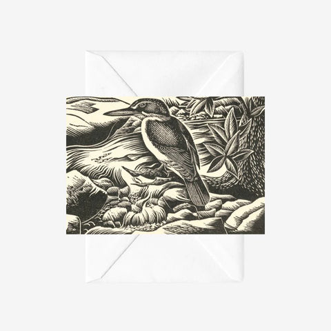Kotare Card - E. Mervyn Taylor 1953