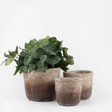 Marron Planter Pot -  Large