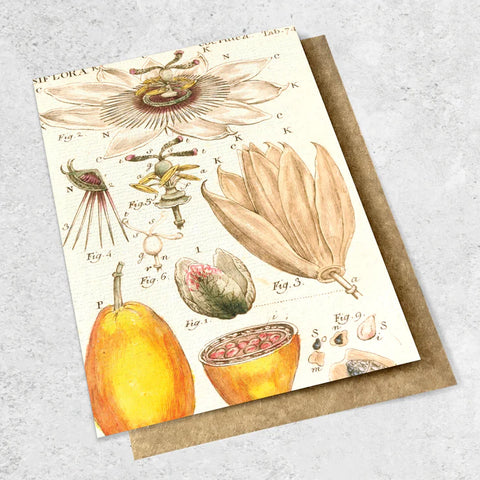 Passionfruit Vintage Botanical Card