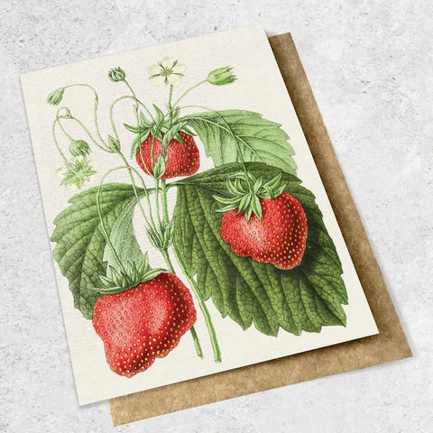 Vintage Botanical - Strawberries Card