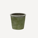 Evergreen Plant Pot Small