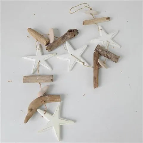 Driftwood Strand Starfish