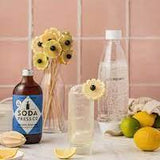 Old Fashioned Lemonade Sodastream