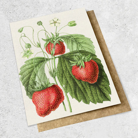 Vintage Strawberry Card