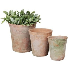 Aged Terracotta Pots - Set of 3