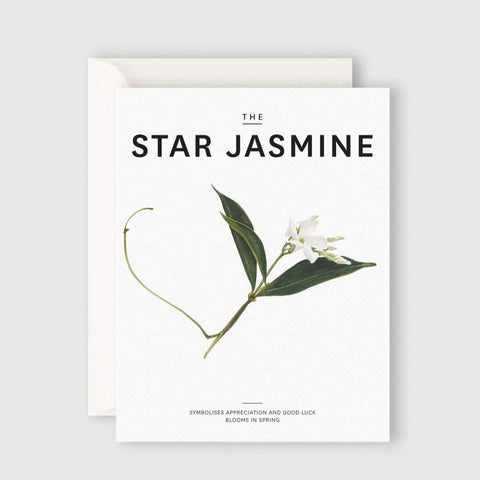 the star jasmine card wairoa