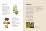 Gardeners Companion To Medicinal Plants (Kew Garden)
