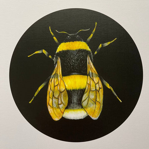A4 Print - Bumblebee