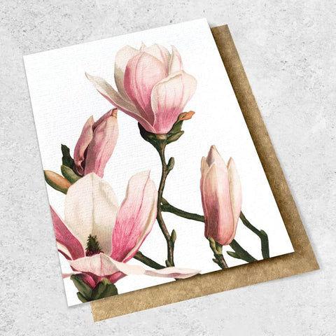 Magnolia Vintage Botanical Card