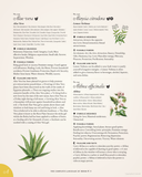 The Complete Language of Herbs