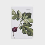 Fig Leaves Notebook - Father Rabbit