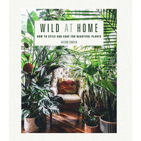 Wild at Home: How To Style And Care For Beautiful Plants