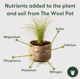 The Wool Pot - Large Set of 3